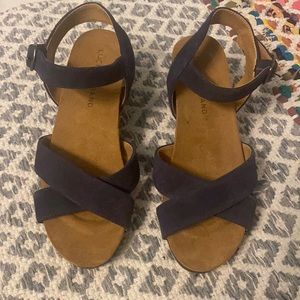Lucky Brand 🍀 Navy blue suede, wedge sandals